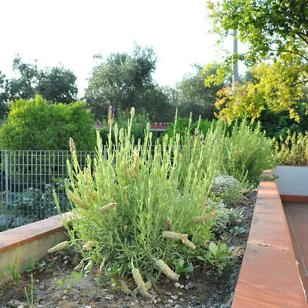 Valentina Holiday home Massa (Tuscany)